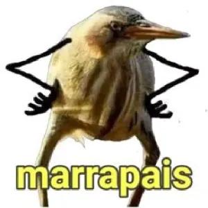0CMupX
