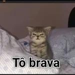 FAZ PRA MIM POR FAVOR