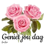 lief jou