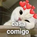 menino