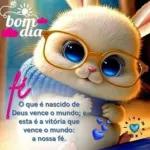 coelhinho