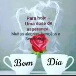 figurinhas