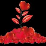 hoje queria vc igualmente