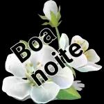 bom dia