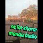 Kaedu 