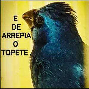 loQlU7