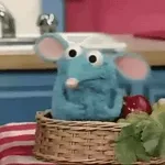 Bạn có thích mèo không?