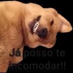 Tá querendo atestado né?