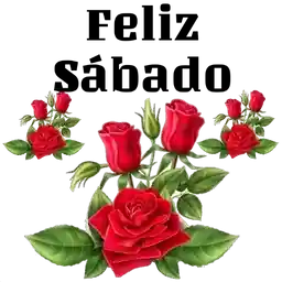 Feliz Segunda-feira!