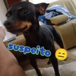 o sujo FALANDO DO MAL LAVADO