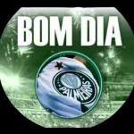 Vamos ganhar porco🏆