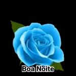 flowers, hope you like them!