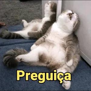 Preguica - getsticker.com