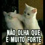 ACALMA seu coração DEUS está com você