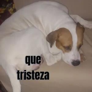 mktFzy