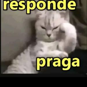 O1xgZF