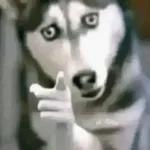 tik tok 0917 2