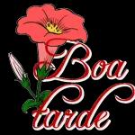 BOA TARDE!