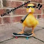 patinho