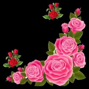 getsticker.com
