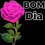 Bom dia