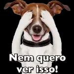Memes da hora 😜