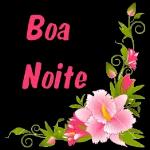 Boa Noite