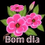 minha rainha