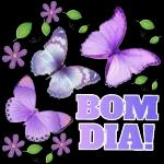 dia Bom você pra
