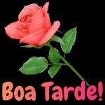 Boa Tarde!