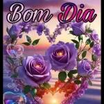adicionar 