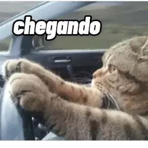 IDPyR8