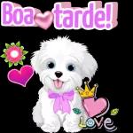 Boa tarde Com carinho 