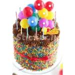 aniversário 🎂 🎂 🎂
