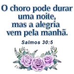  BOM DIA
Familia