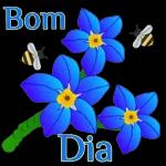 Boa noite