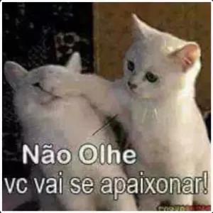 bttG6q