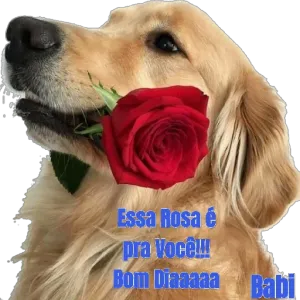 0ZWvrH