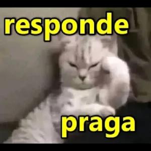 responde Praga - getsticker.com