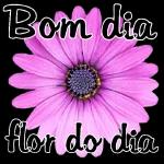 Quero apenas a presença de Deus comigo, em cada passo que eu der e em cada adversidade que eu enfrentar. Que Ele seja minhaFORÇA, meu ESCUDO minha PROTEÇÃO Todas as horas do dia. Cecilia Sfalsin Bom Dia!