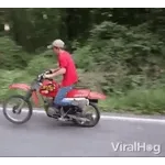 bolofofos