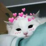 BELEZA AGORA CHUPA MEU PAU 