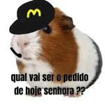 oi oi oi