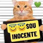 minhas y