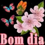 Bom dia 🌞
