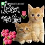 Boa noite