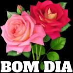 Bom dia amém🙏