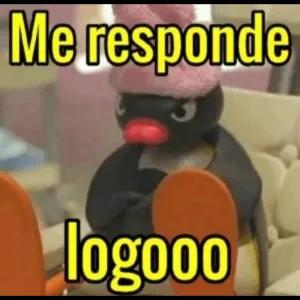 q7OrXi