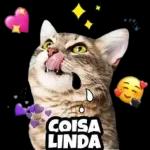 Feliz Domingo