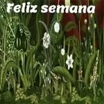 figuras